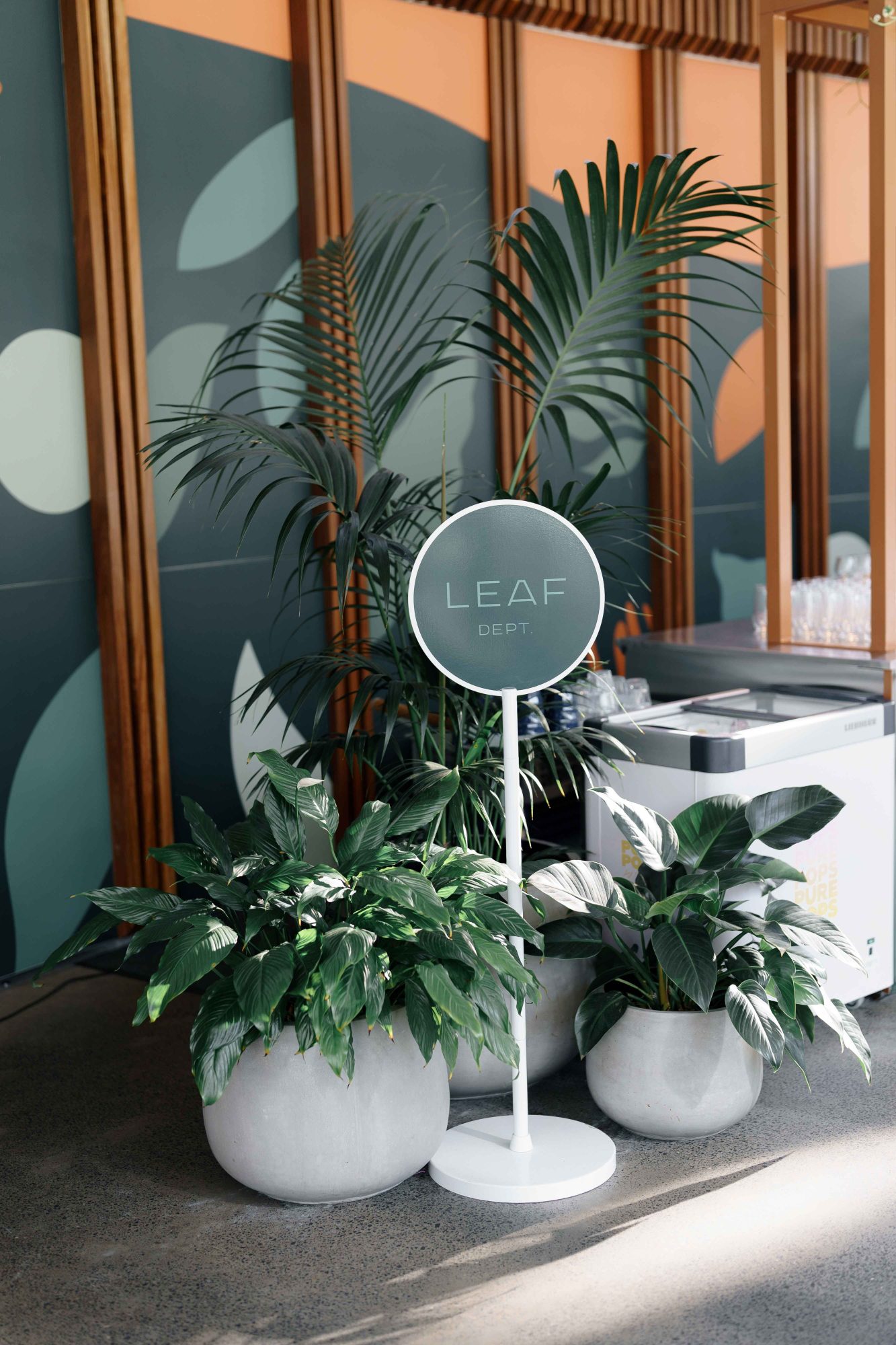 royal botanic garden wedding, the calyx wedding, the calyx wedding venue, salt atelier, sydney wedding photography, sydney wedding venue,sydney weddings, sydney wedding photographer, weddings at the calyx, weddings at the royal botanic garden